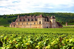 Château la Piolette