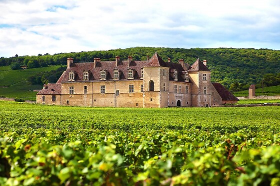 Château la Piolette - photo 8