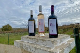Château la Piolette