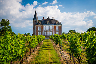 Visite & Dégustation en Champagne