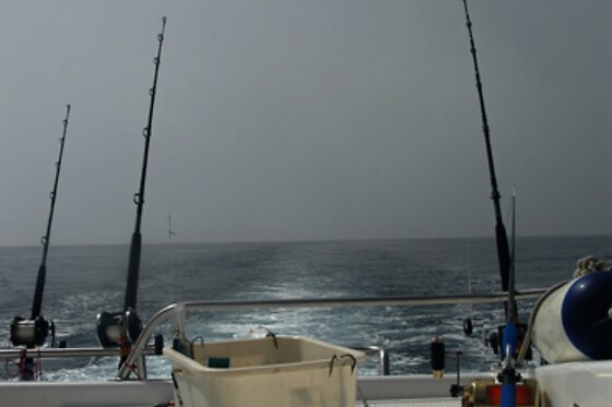 CAP A MAR - photo 5