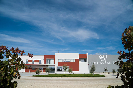 BODEGA BRIEGO - photo 0