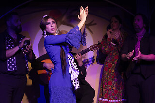Spectacle de flamenco « El Duende » à Barcelone