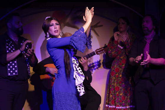 Spectacle de flamenco « El Duende » à Barcelone