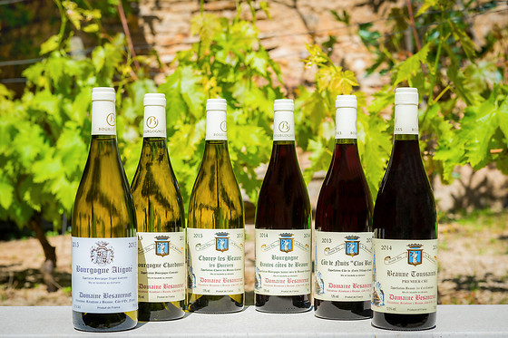 Domaine Besancenot - photo 5