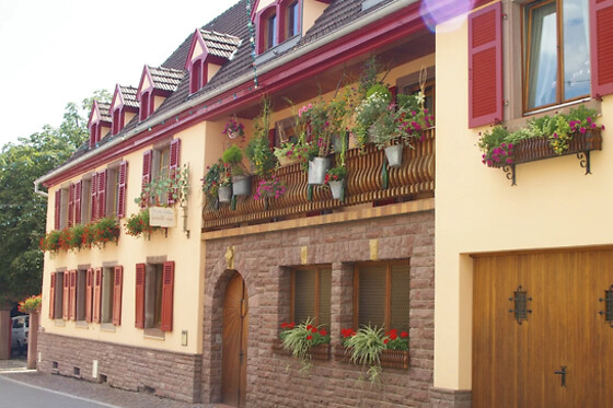 Domaine Aimé STENTZ - photo 1