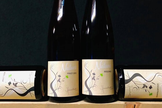 Domaine Humbrecht 1619 - photo 0