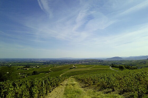 Domaine Le Plateau de Grille-Midi - photo 3