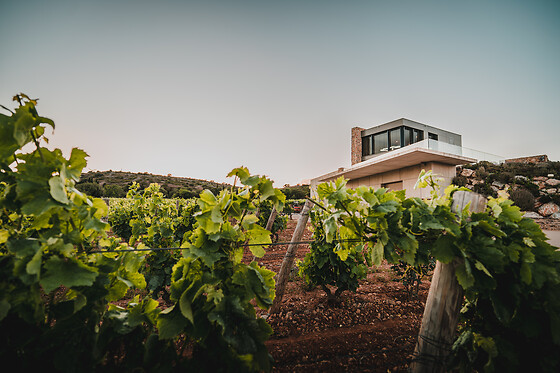 Domaine de la Rochelierre - photo 1