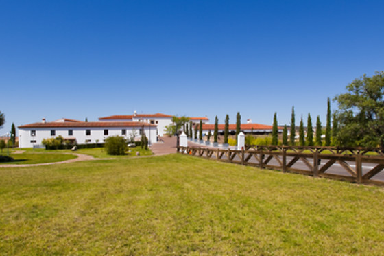 HOTEL PALACIO DE ARENALES & SPA - photo 28