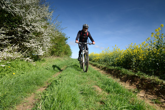 Oxbow - photo 6