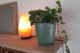 Terre zen Massage