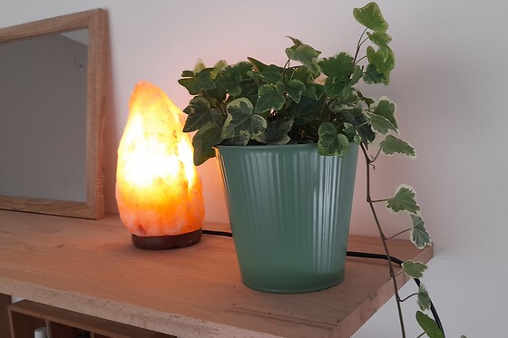 Terre zen Massage - photo 4