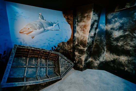IVAZIO Island Bordeaux - photo 16