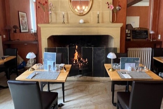 Logis Hôtel le Cygne - photo 14