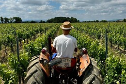 Bertrand Henry - Domaine de Cadeillac