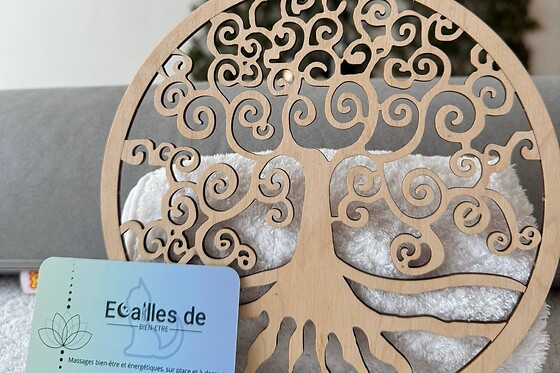 Écailles de Bien-Être - photo 6