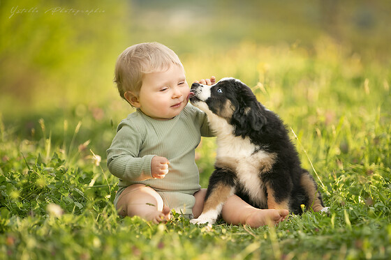 Ystelle photographie - photo 9