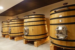 Château Pierre de Montignac