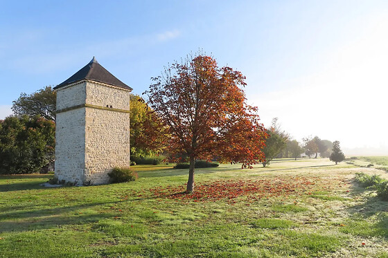Château Pierre de Montignac - photo 5