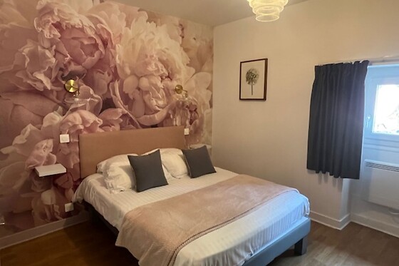 Logis Hôtel le Cygne - photo 3