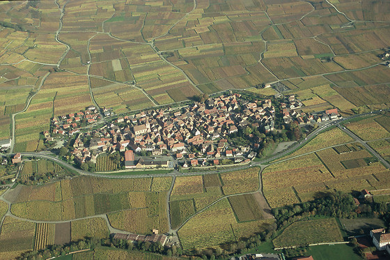 Domaine André Blanck et ses fils - photo 8