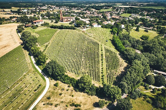Domaine Plaisance Penavayre - photo 2