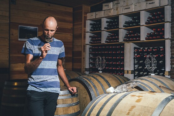 Domaine Plaisance Penavayre - photo 4