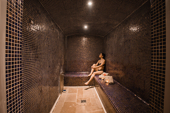 Domaine des Thomeaux - photo 14