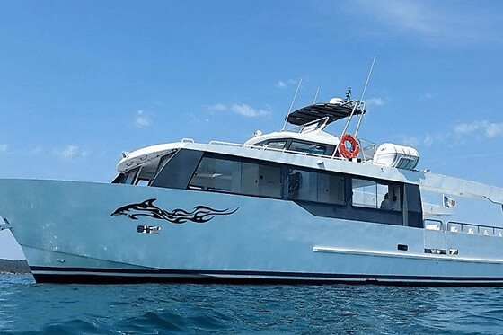 Croisière à la rencontre des dauphins et cétacés à Monaco (98)