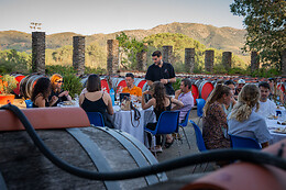 Terres des Templiers service Caves&Boutiques