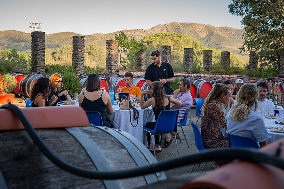 Terres des Templiers service Caves&Boutiques - photo 4