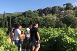 Terres des Templiers service Caves&Boutiques