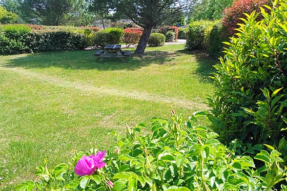 Hameaux de miel - photo 6