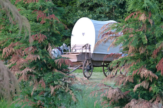 La Ferme Aventure - photo 7