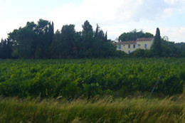 Domaine du Siestou