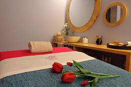 SPA HACIENDA LOS ROBLES