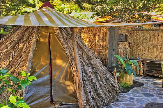 STUDIO MAZO THE GLAMPING - photo 5