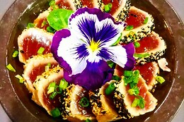 Bordeaux Sushis