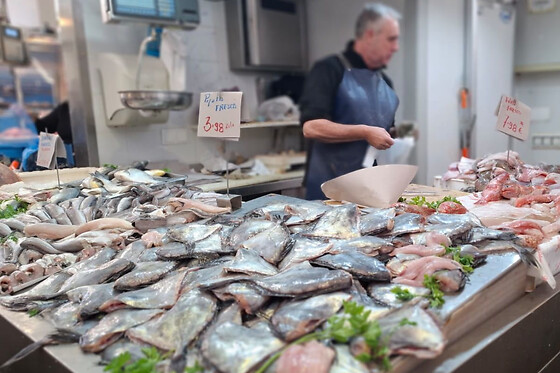 Tour gastronomique à Cadix