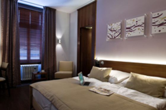 Hotel Carol - photo 11