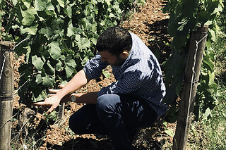 Dégustation de vins en Côte de Beaune (21)