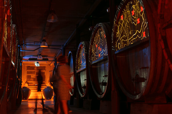 Visite & tea time ou vin gourmand au domaine Zeyssolff (67)