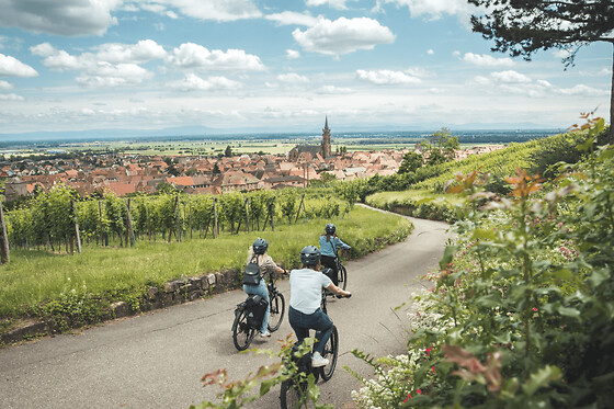 Journée à vélo sur la route des vins d'Alsace depuis Sélestat