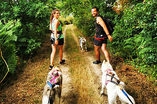 Cani-rando avec des chiens de traîneau à la Ferrière (85) - Formule Famille (2 enfants / 2 adultes)
