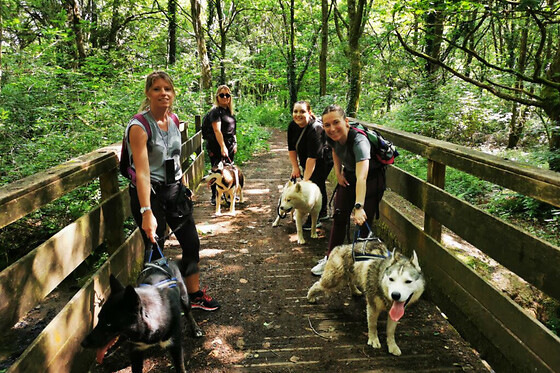Cani-rando avec des chiens de traîneau à la Ferrière (85) - Formule Famille (2 enfants / 2 adultes)