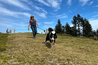 Cani-Rando dans la forêt du Bager à Oloron-Sainte-Marie (64) - Solo adulte - 2h