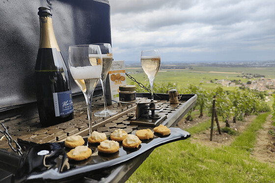 Visite de cave & balade dégustation dans les vignes de Champagne