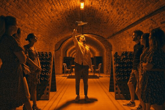 Visite de cave, dégustation & déjeuner à Aÿ-Champagne