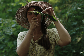 Balade "Cueillette des Plantes sauvages" au bois Vincennes (94)